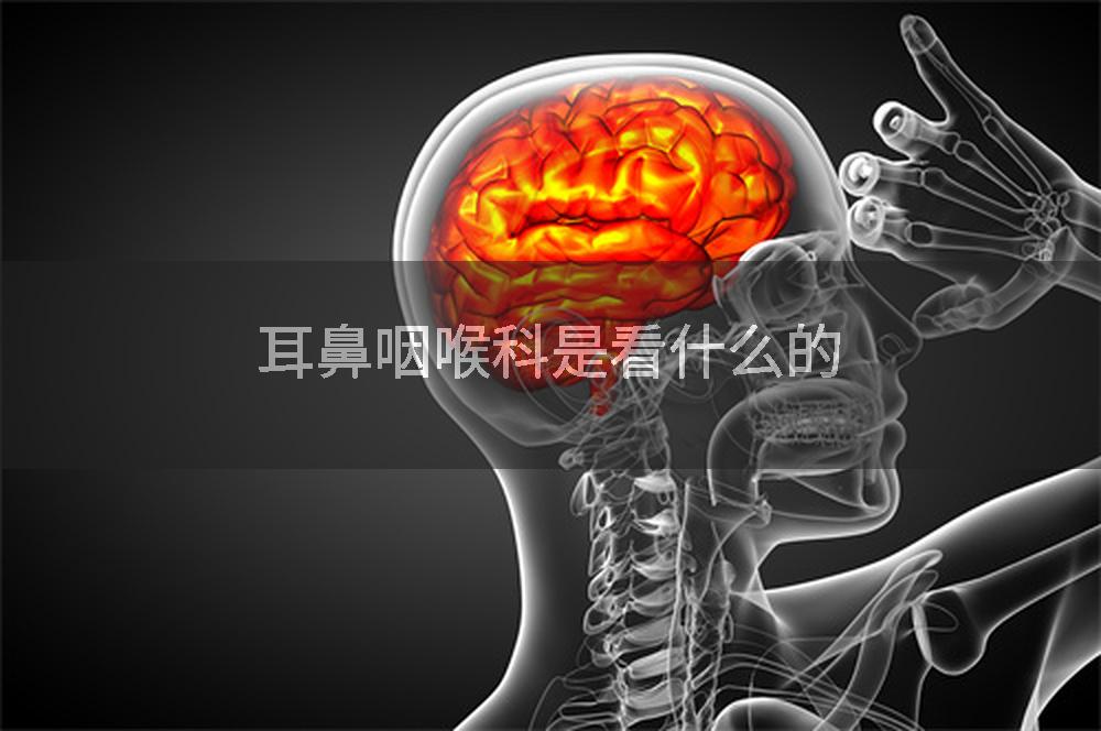 耳鼻咽喉科是看什么的