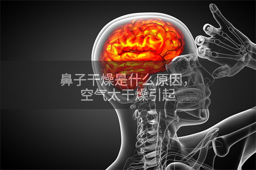 鼻子干燥是什么原因，空气太干燥引起