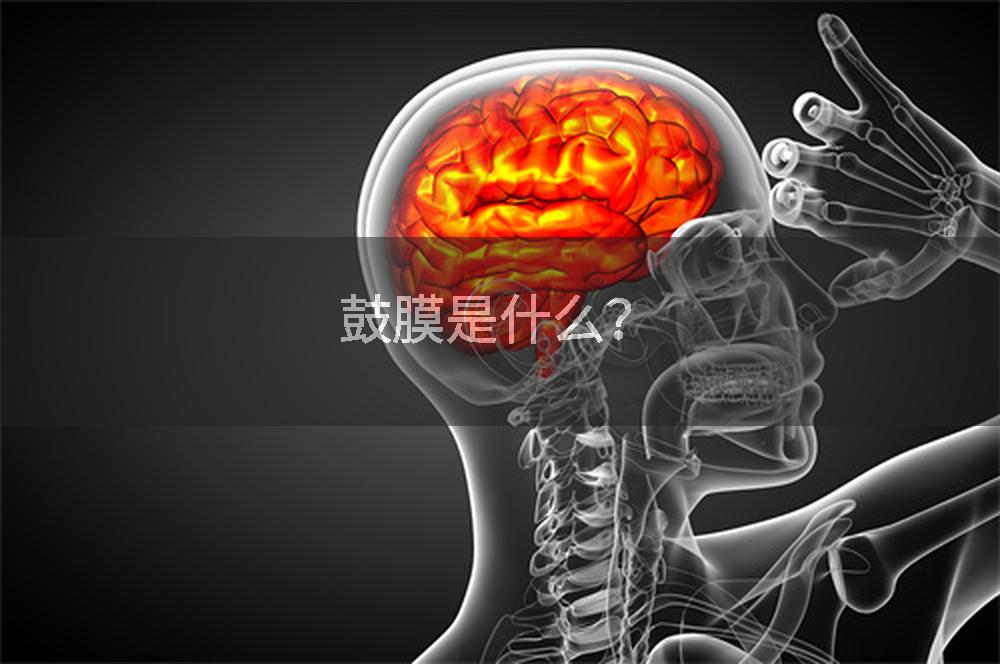 鼓膜是什么？
