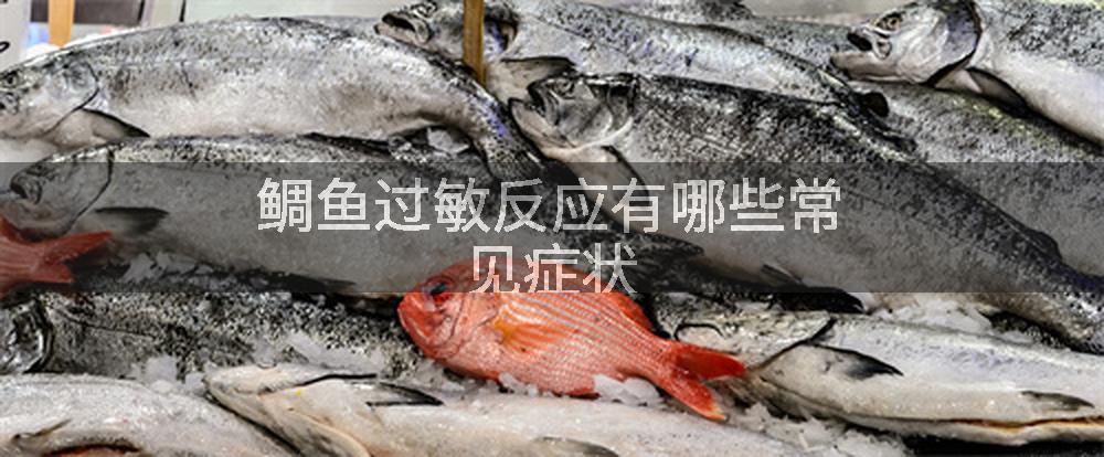 鲷鱼过敏反应有哪些常见症状