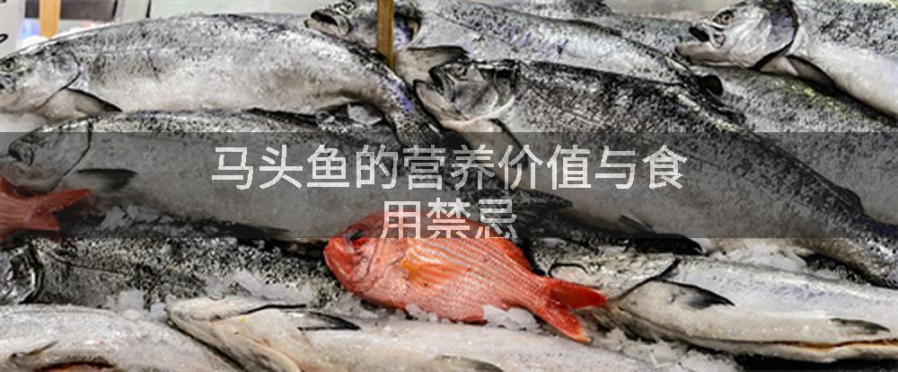 马头鱼的营养价值与食用禁忌