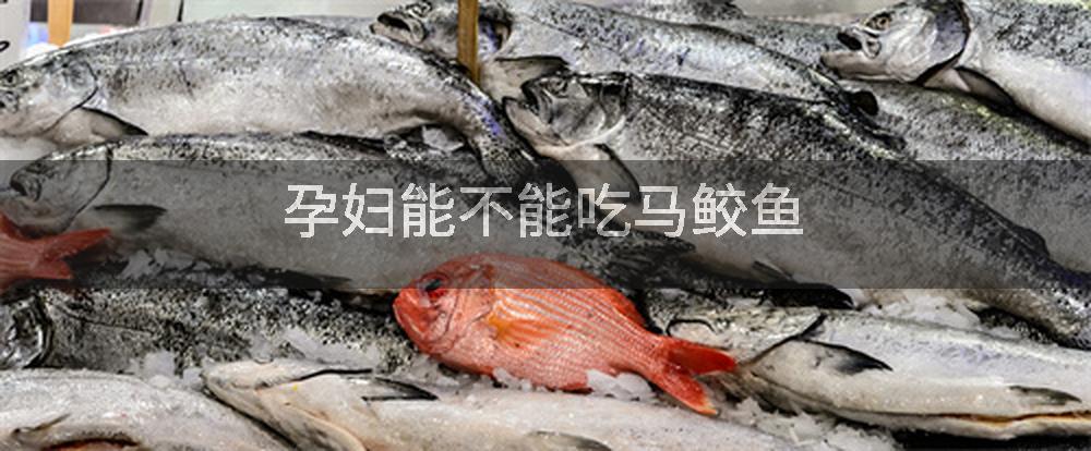 孕妇能不能吃马鲛鱼