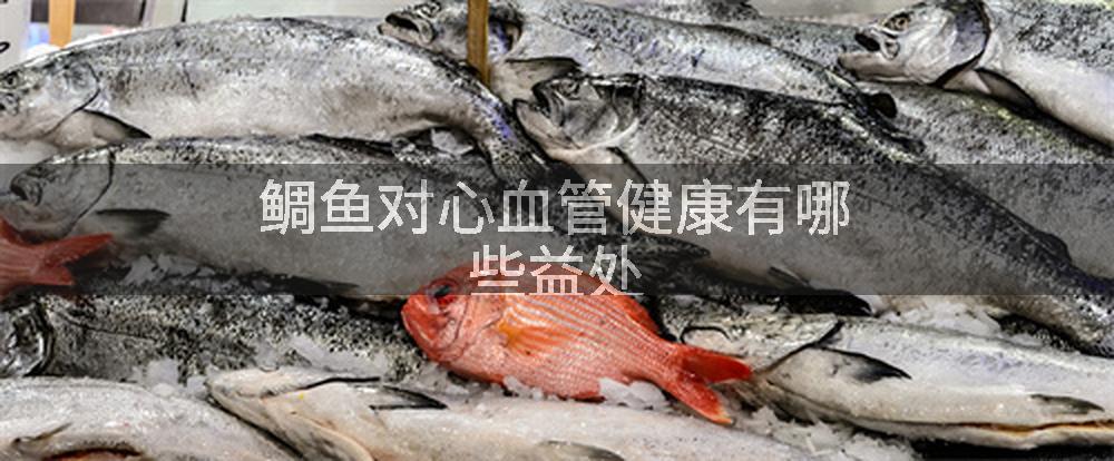 鲷鱼对心血管健康有哪些益处