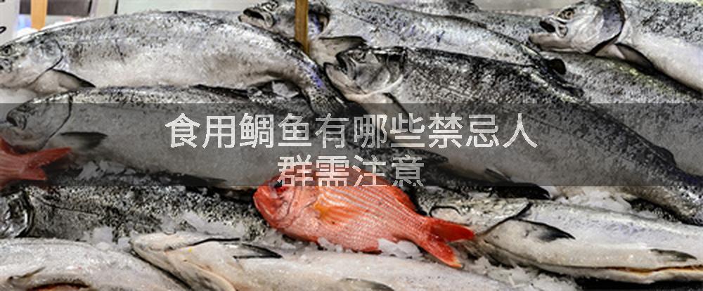 食用鲷鱼有哪些禁忌人群需注意