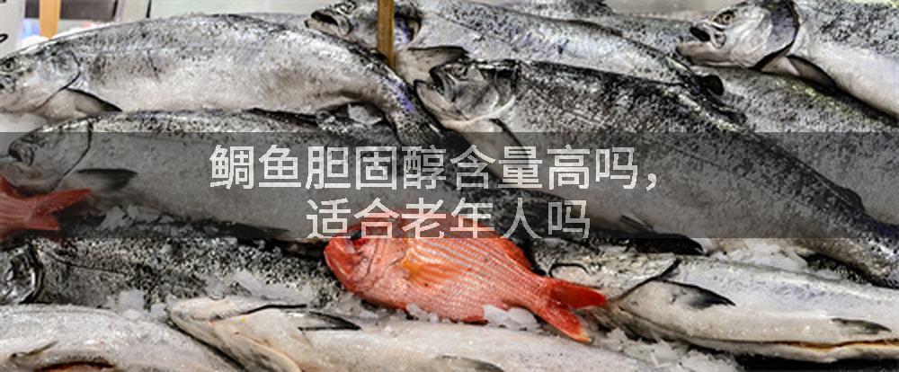 鲷鱼胆固醇含量高吗，适合老年人吗