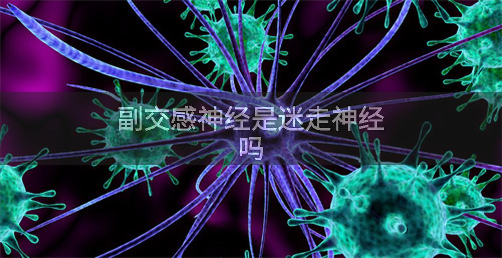 副交感神经是迷走神经吗
