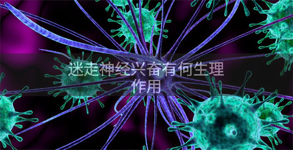 迷走神经兴奋有何生理作用