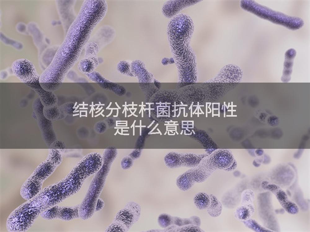 结核分枝杆菌抗体阳性是什么意思