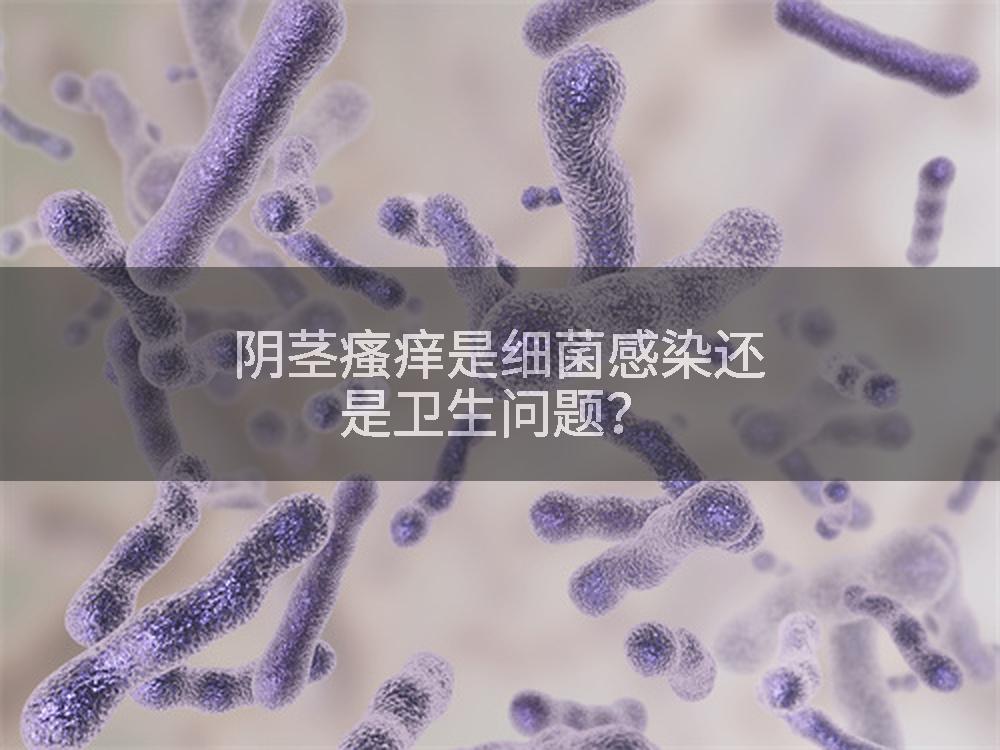 阴茎瘙痒是细菌感染还是卫生问题?