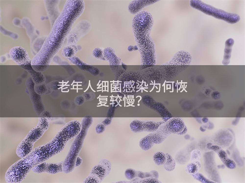 老年人细菌感染为何恢复较慢?