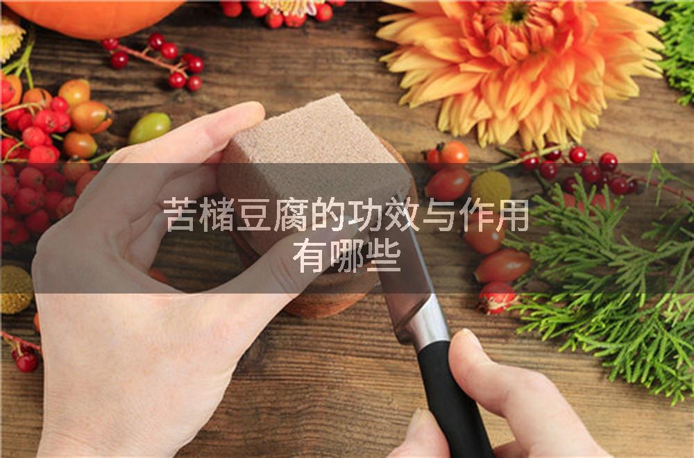 苦槠豆腐的功效与作用有哪些