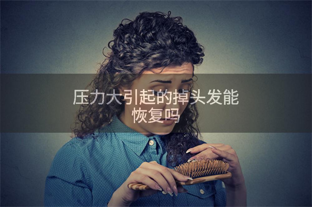 压力大引起的掉头发能恢复吗