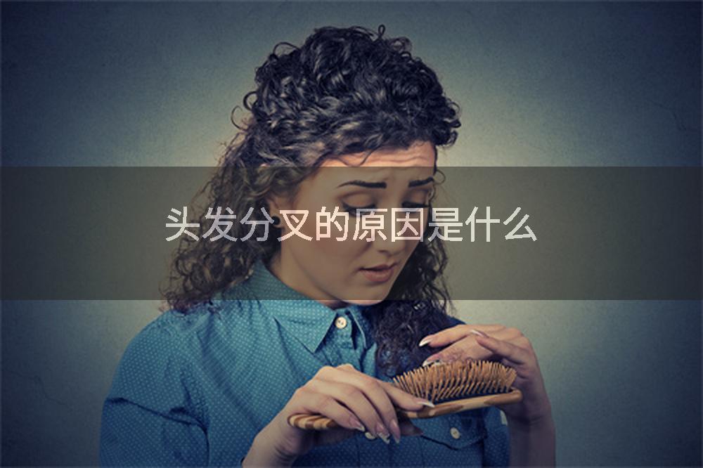 头发分叉的原因是什么