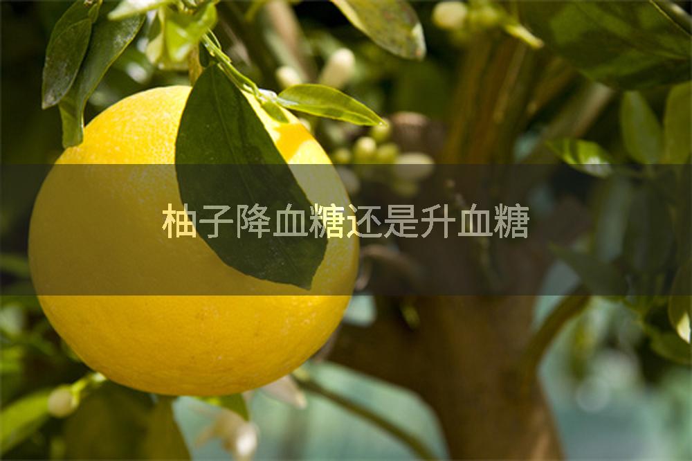柚子降血糖还是升血糖