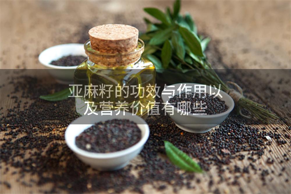 亚麻籽的功效与作用以及营养价值有哪些
