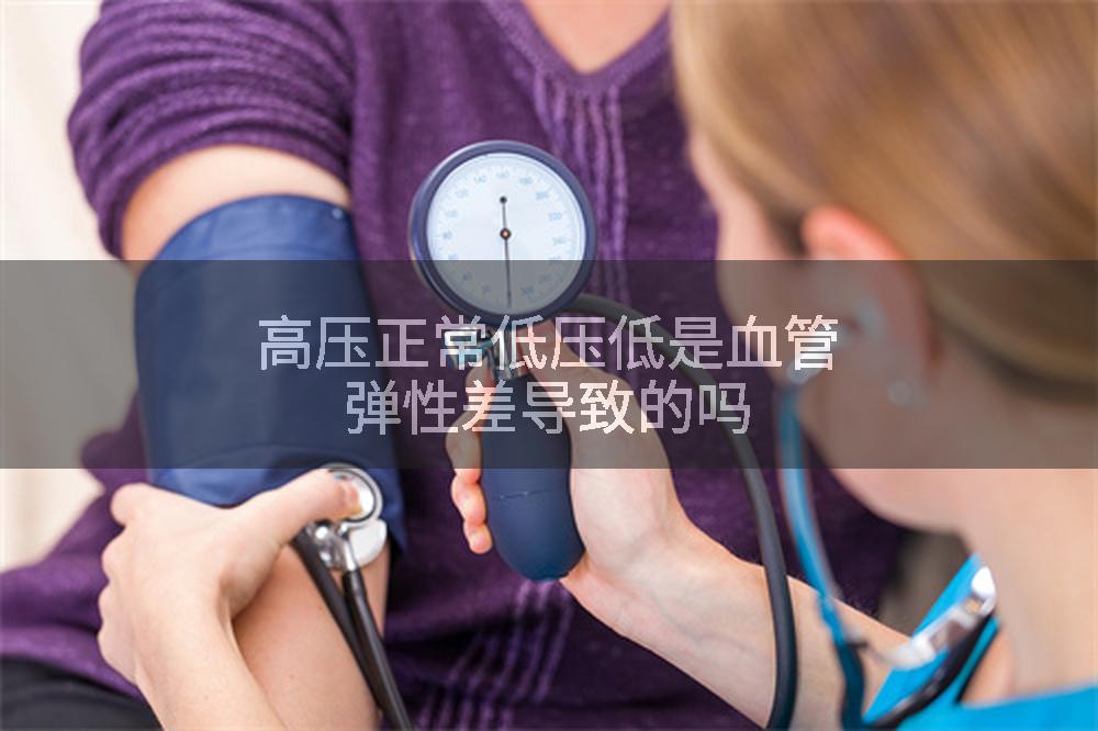 高压正常低压低是血管弹性差导致的吗