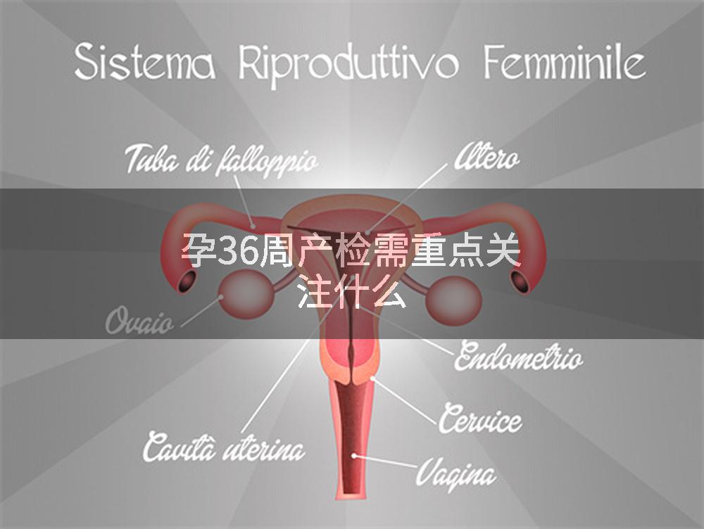 孕36周产检需重点关注什么