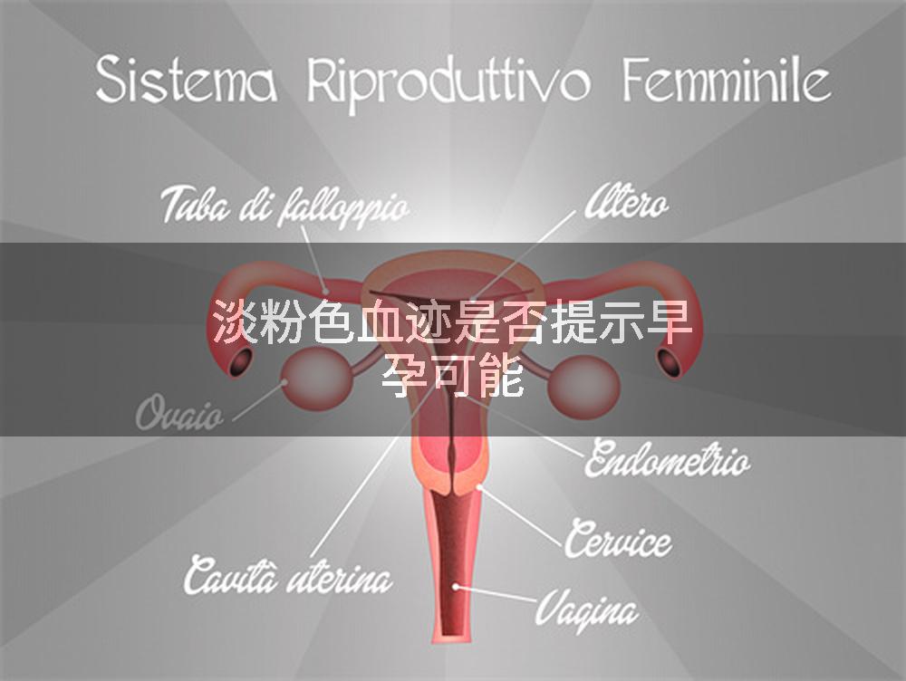 淡粉色血迹是否提示早孕可能