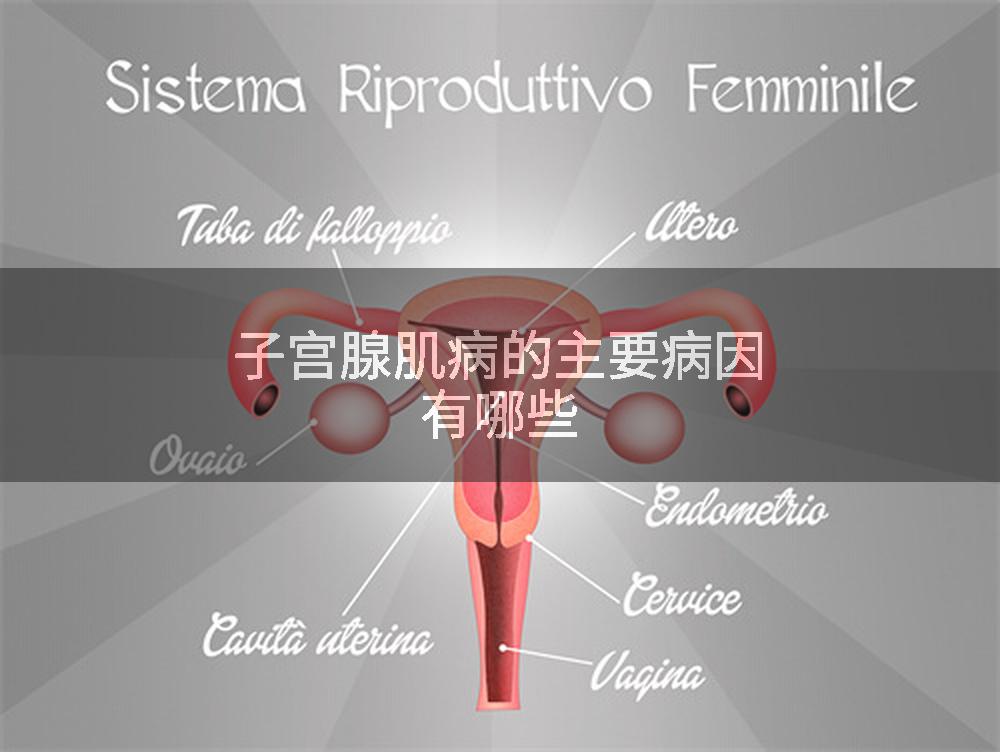 子宫腺肌病的主要病因有哪些