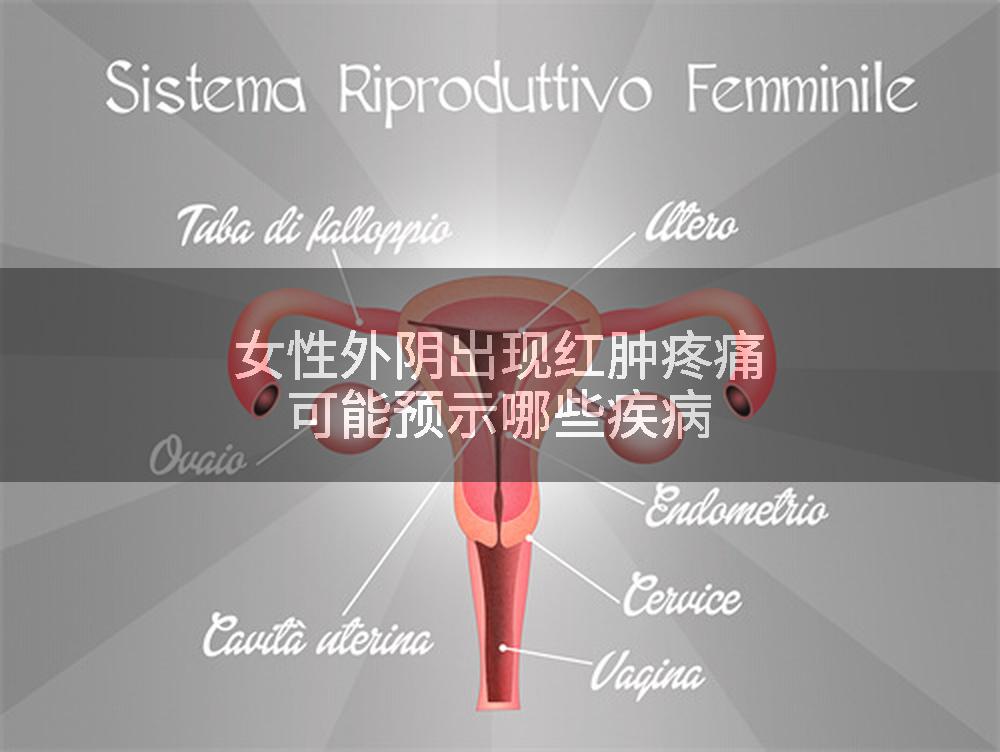 女性外阴出现红肿疼痛可能预示哪些疾病
