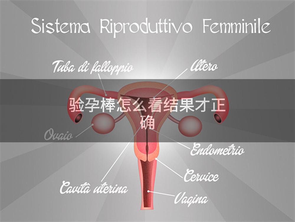 验孕棒怎么看结果才正确