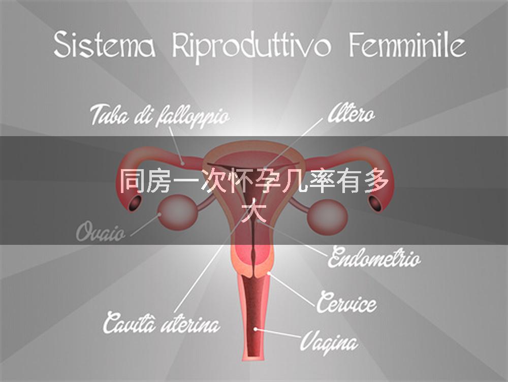 同房一次怀孕几率有多大