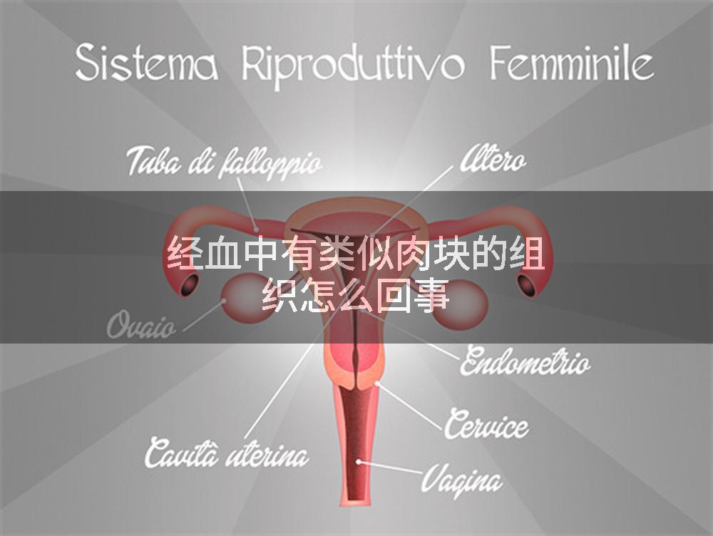 经血中有类似肉块的组织怎么回事