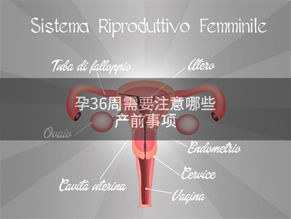 孕36周需要注意哪些产前事项