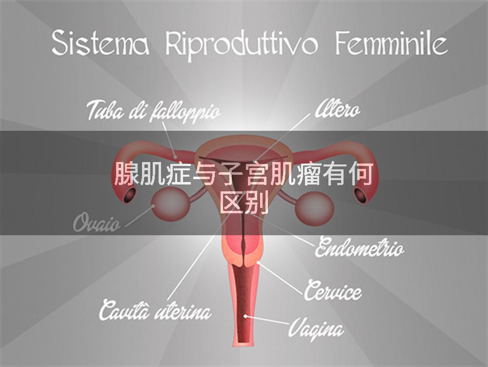 腺肌症与子宫肌瘤有何区别