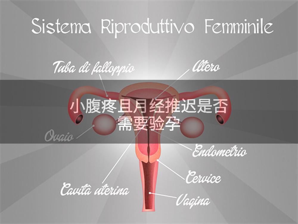 小腹疼且月经推迟是否需要验孕