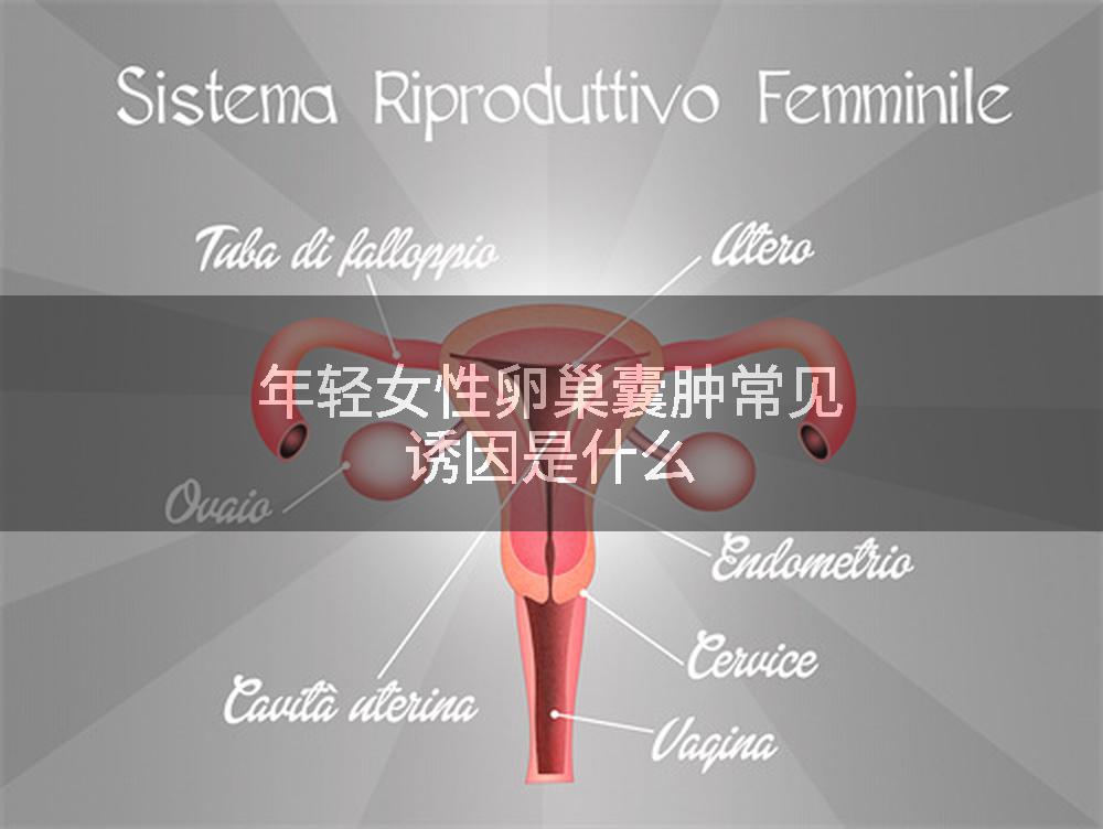 年轻女性卵巢囊肿常见诱因是什么