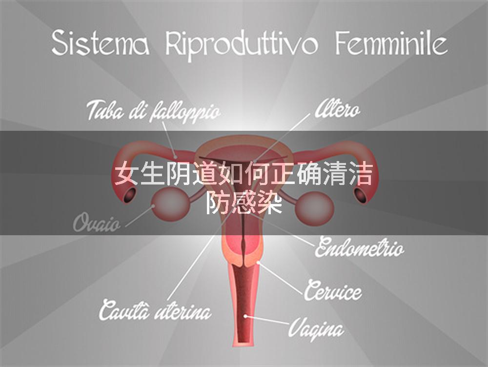 女生阴道如何正确清洁防感染
