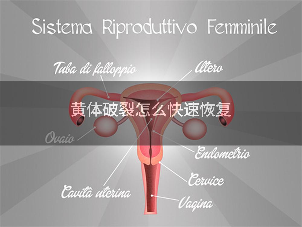 黄体破裂怎么快速恢复