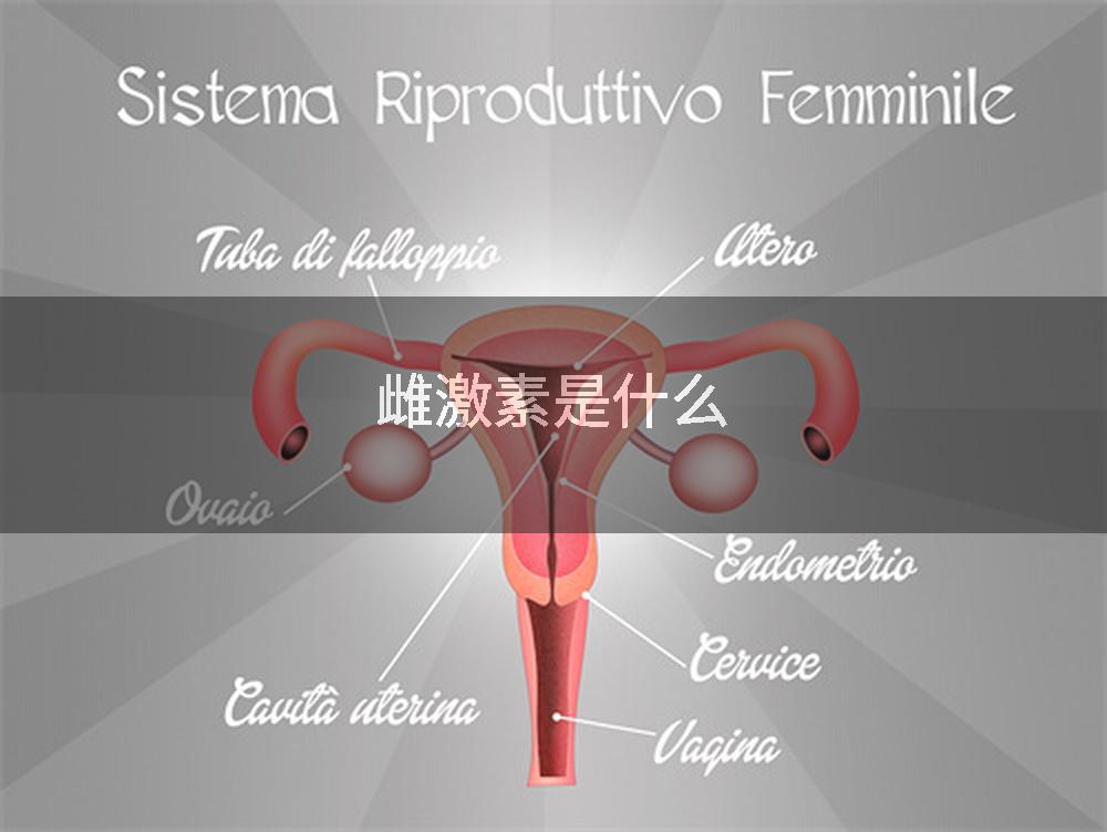 雌激素是什么