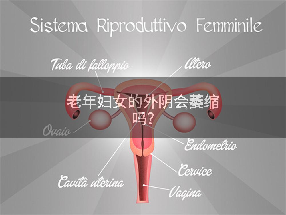 老年妇女的外阴会萎缩吗?
