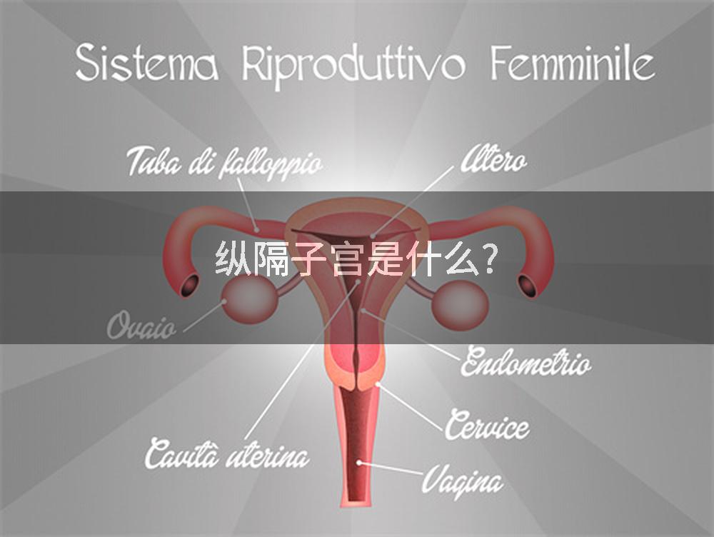 纵隔子宫是什么?