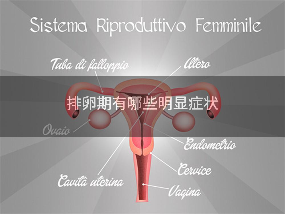 排卵期有哪些明显症状