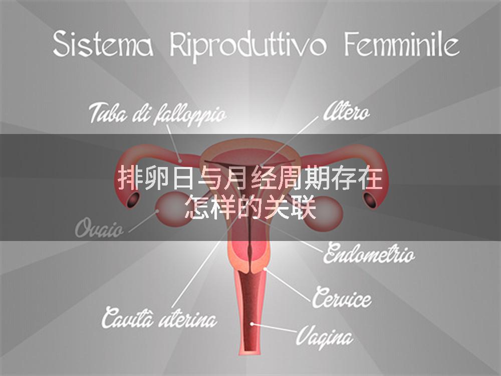排卵日与月经周期存在怎样的关联