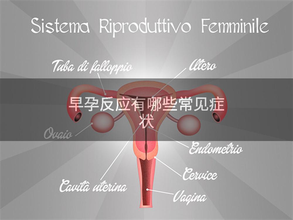 早孕反应有哪些常见症状