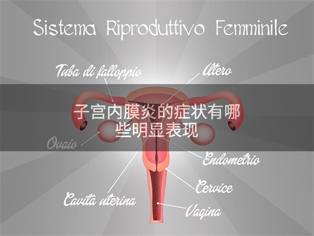 子宫内膜炎的症状有哪些明显表现