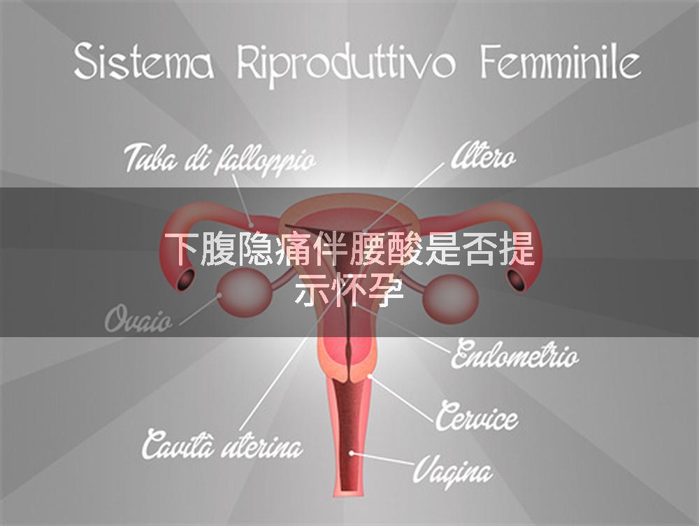 下腹隐痛伴腰酸是否提示怀孕