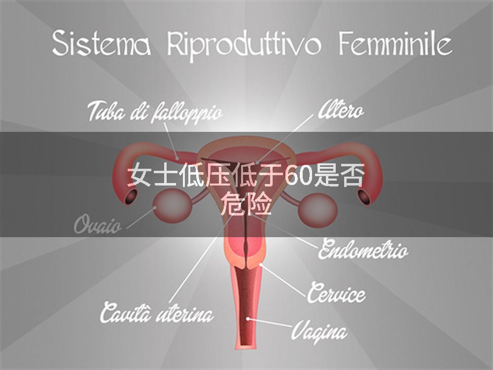 女士低压低于60是否危险