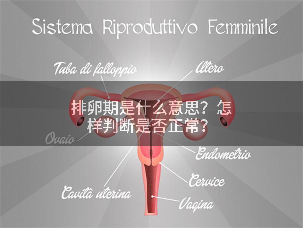 排卵期是什么意思？怎样判断是否正常？