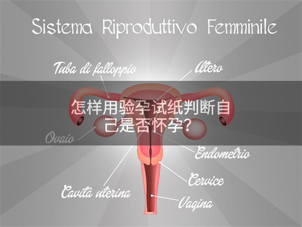 怎样用验孕试纸判断自己是否怀孕？