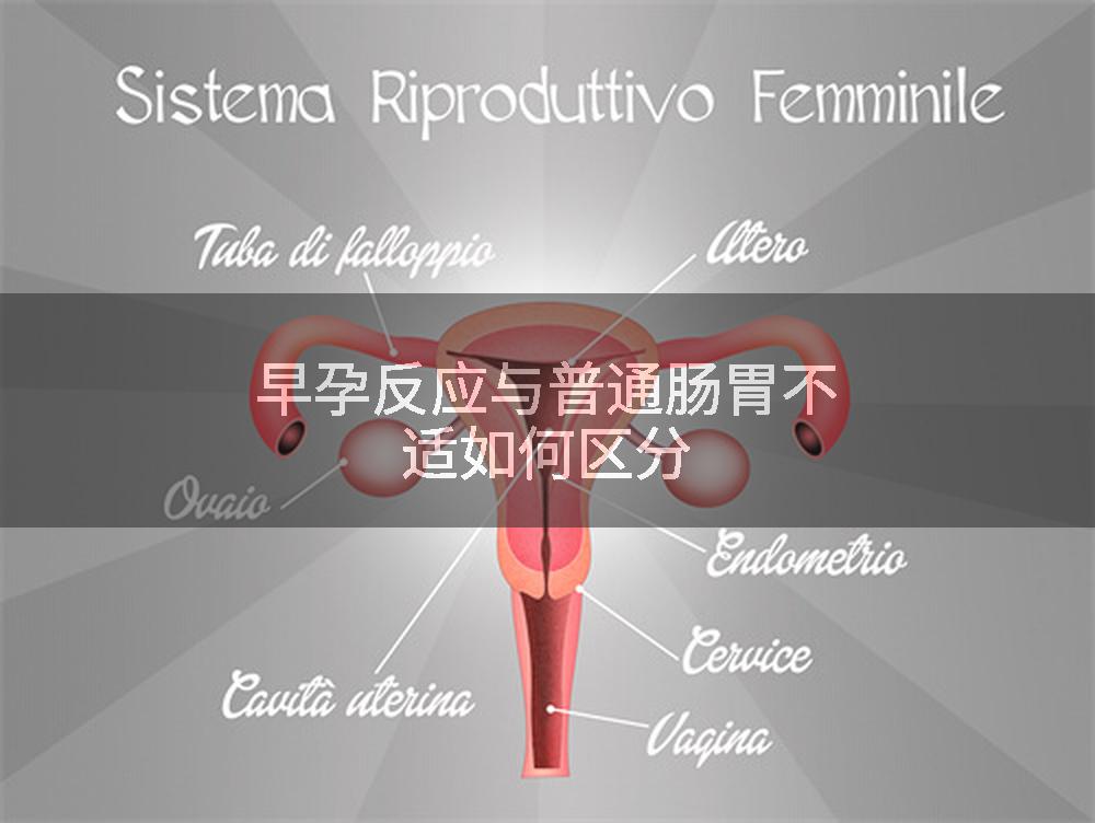早孕反应与普通肠胃不适如何区分