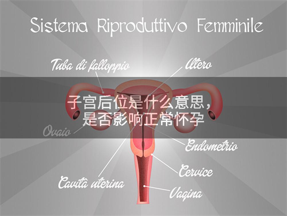 子宫后位是什么意思，是否影响正常怀孕
