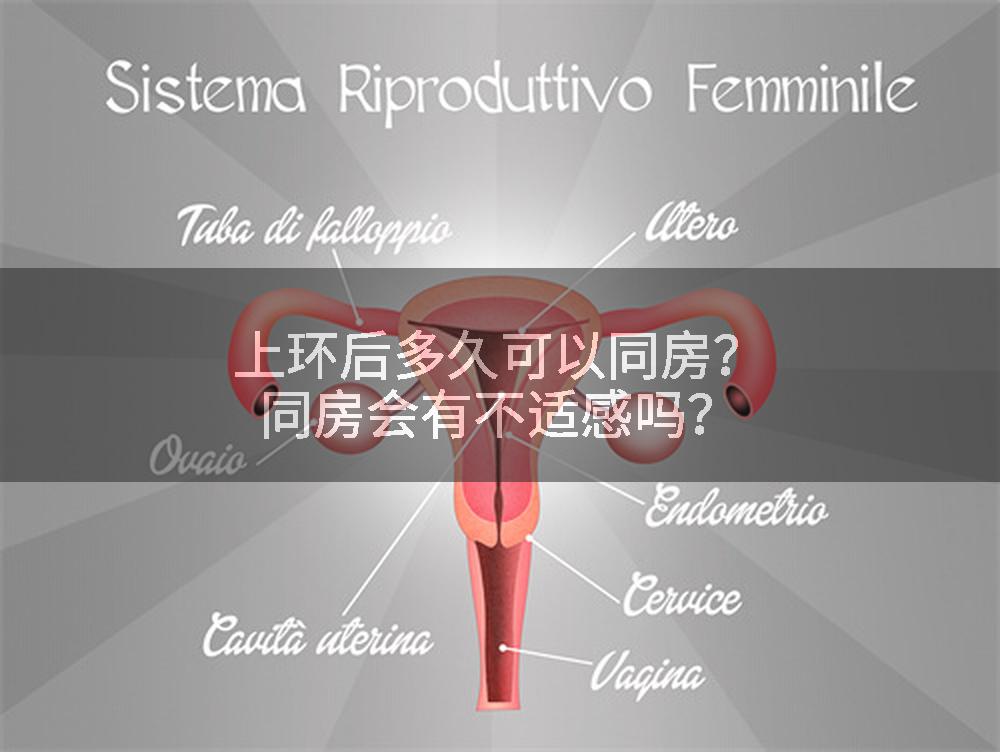 上环后多久可以同房?同房会有不适感吗?