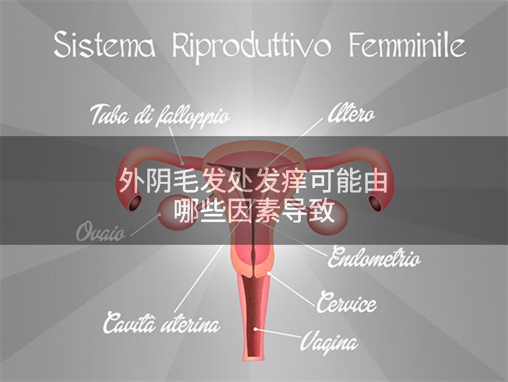 外阴毛发处发痒可能由哪些因素导致
