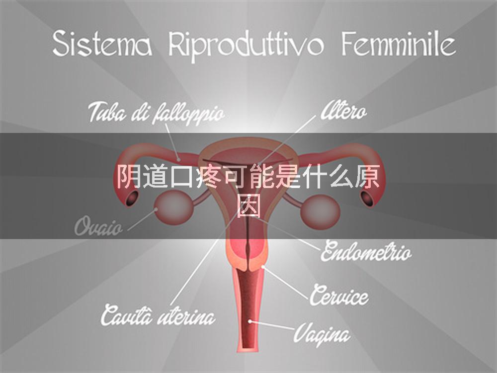 阴道口疼可能是什么原因