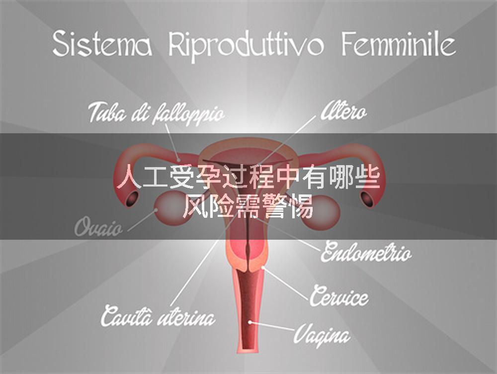 人工受孕过程中有哪些风险需警惕
